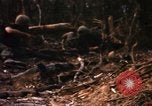 Image of United States Marine Corps Vietnam, 1967, second 45 stock footage video 65675036483