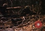 Image of United States Marine Corps Vietnam, 1967, second 46 stock footage video 65675036483