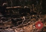 Image of United States Marine Corps Vietnam, 1967, second 47 stock footage video 65675036483