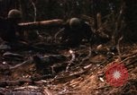 Image of United States Marine Corps Vietnam, 1967, second 48 stock footage video 65675036483