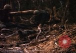 Image of United States Marine Corps Vietnam, 1967, second 49 stock footage video 65675036483