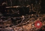 Image of United States Marine Corps Vietnam, 1967, second 50 stock footage video 65675036483