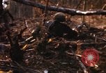 Image of United States Marine Corps Vietnam, 1967, second 53 stock footage video 65675036483