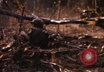 Image of United States Marine Corps Vietnam, 1967, second 56 stock footage video 65675036483