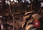 Image of United States Marine Corps Vietnam, 1967, second 57 stock footage video 65675036483