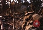 Image of United States Marine Corps Vietnam, 1967, second 59 stock footage video 65675036483