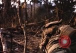 Image of United States Marine Corps Vietnam, 1967, second 60 stock footage video 65675036483