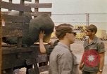 Image of 90th Replacement Battalion of United States Army Vietnam, 1970, second 10 stock footage video 65675036486