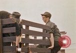 Image of 90th Replacement Battalion of United States Army Vietnam, 1970, second 16 stock footage video 65675036486