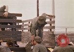 Image of 90th Replacement Battalion of United States Army Vietnam, 1970, second 31 stock footage video 65675036486