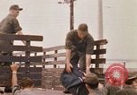 Image of 90th Replacement Battalion of United States Army Vietnam, 1970, second 37 stock footage video 65675036486