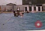 Image of 90th Replacement Battalion of United States Army Vietnam, 1970, second 33 stock footage video 65675036490