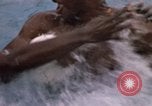 Image of 90th Replacement Battalion of United States Army Vietnam, 1970, second 53 stock footage video 65675036490