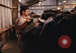 Image of 90th Replacement Battalion United States Army Vietnam, 1970, second 60 stock footage video 65675036491