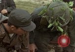 Image le Viet Cong suspects Ankhe Sud Vietnam, 1966, de la seconde 30 séquences d'archives historiques vidéo 65675036498