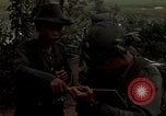 Immagine di Il Viet Cong sospetti Ankhe Vietnam del Sud, 1966, secondo 4 filmato di repertorio 65675036499