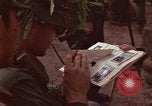 Immagine di Il Viet Cong sospetti Ankhe Vietnam del Sud, 1966, secondo 15 filmato di repertorio 65675036499