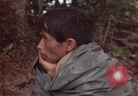 Immagine di Il Viet Cong sospetti Ankhe Vietnam del Sud, 1966, secondo 16 filmato di repertorio 65675036499