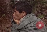 Immagine di Il Viet Cong sospetti Ankhe Vietnam del Sud, 1966, secondo 19 filmato di repertorio 65675036499