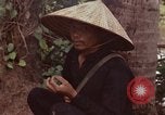 Immagine di Il Viet Cong sospetti Ankhe Vietnam del Sud, 1966, secondo 20 filmato di repertorio 65675036499