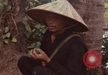 Immagine di Il Viet Cong sospetti Ankhe Vietnam del Sud, 1966, secondo 22 filmato di repertorio 65675036499
