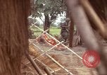 Immagine di Il Viet Cong sospetti Ankhe Vietnam del Sud, 1966, secondo 23 filmato di repertorio 65675036499