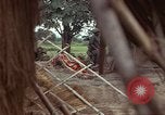 Immagine di Il Viet Cong sospetti Ankhe Vietnam del Sud, 1966, secondo 26 filmato di repertorio 65675036499