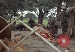 Immagine di Il Viet Cong sospetti Ankhe Vietnam del Sud, 1966, secondo 27 filmato di repertorio 65675036499