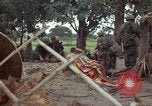 Immagine di Il Viet Cong sospetti Ankhe Vietnam del Sud, 1966, secondo 28 filmato di repertorio 65675036499