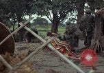 Immagine di Il Viet Cong sospetti Ankhe Vietnam del Sud, 1966, secondo 30 filmato di repertorio 65675036499