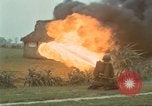 Immagine di Il Viet Cong sospetti Ankhe Vietnam del Sud, 1966, secondo 53 filmato di repertorio 65675036499
