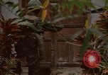 Immagine di 1° aria divisione di cavalleria Ankhe Vietnam del Sud, 1966, secondo 12 filmato di repertorio 65675036502