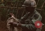 Immagine di 1° aria divisione di cavalleria Ankhe Vietnam del Sud, 1966, secondo 29 filmato di repertorio 65675036502