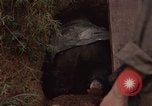 Immagine di 1° aria divisione di cavalleria Ankhe Vietnam del Sud, 1966, secondo 60 filmato di repertorio 65675036503