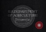 Immagine di Coltivazione di cotone plantation Southern United States USA, 1922, secondo 1 filmato di repertorio 65675036511