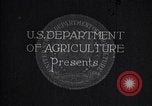 Immagine di Coltivazione di cotone plantation Southern United States USA, 1922, secondo 3 filmato di repertorio 65675036511