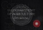 Immagine di Coltivazione di cotone plantation Southern United States USA, 1922, secondo 4 filmato di repertorio 65675036511