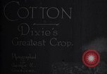Immagine di Coltivazione di cotone plantation Southern United States USA, 1922, secondo 6 filmato di repertorio 65675036511