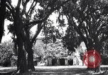 Immagine di Coltivazione di cotone plantation Southern United States USA, 1922, secondo 24 filmato di repertorio 65675036511