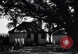 Immagine di Coltivazione di cotone plantation Southern United States USA, 1922, secondo 35 filmato di repertorio 65675036511