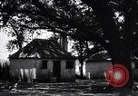 Immagine di Coltivazione di cotone plantation Southern United States USA, 1922, secondo 36 filmato di repertorio 65675036511