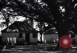 Immagine di Coltivazione di cotone plantation Southern United States USA, 1922, secondo 37 filmato di repertorio 65675036511