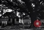 Immagine di Coltivazione di cotone plantation Southern United States USA, 1922, secondo 38 filmato di repertorio 65675036511