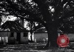 Immagine di Coltivazione di cotone plantation Southern United States USA, 1922, secondo 39 filmato di repertorio 65675036511