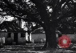 Immagine di Coltivazione di cotone plantation Southern United States USA, 1922, secondo 40 filmato di repertorio 65675036511