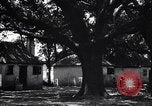 Immagine di Coltivazione di cotone plantation Southern United States USA, 1922, secondo 41 filmato di repertorio 65675036511