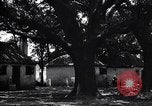 Immagine di Coltivazione di cotone plantation Southern United States USA, 1922, secondo 42 filmato di repertorio 65675036511