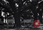 Immagine di Coltivazione di cotone plantation Southern United States USA, 1922, secondo 45 filmato di repertorio 65675036511