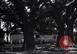 Immagine di Coltivazione di cotone plantation Southern United States USA, 1922, secondo 46 filmato di repertorio 65675036511
