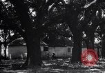 Immagine di Coltivazione di cotone plantation Southern United States USA, 1922, secondo 47 filmato di repertorio 65675036511